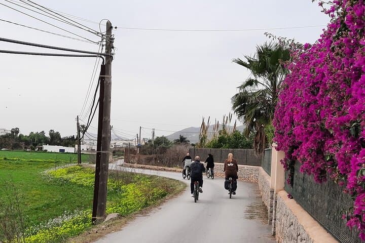 Discover Ibiza by E-Bike Santa Gertrudis de Fruitera