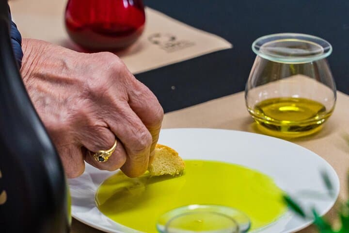 The Olive Oil Journey: Grove and Mill Visit
