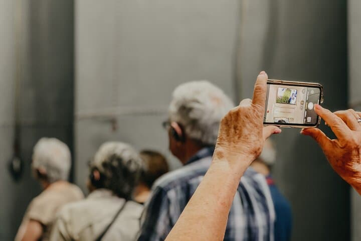 The Olive Oil Journey: Grove and Mill Visit