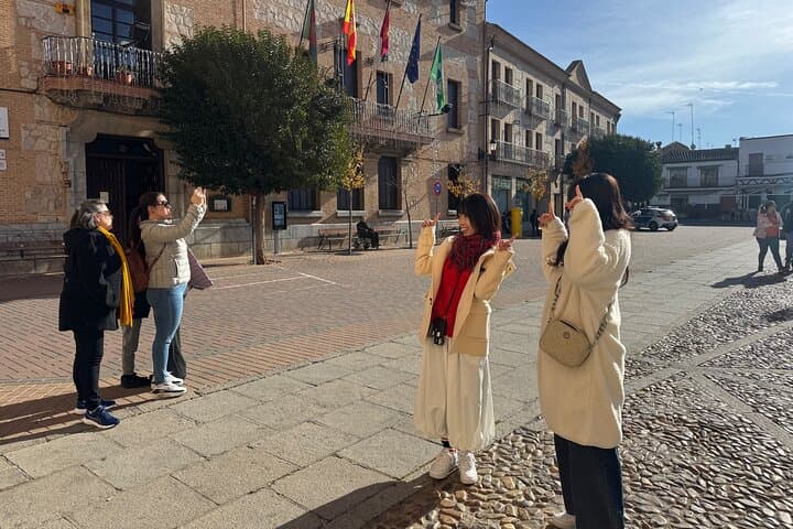 Madrid Tour Consuegra Mills of Quixote de la Mancha and Castle