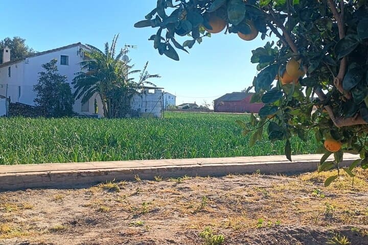 Half Day Valencia Foodie Cycling Tour