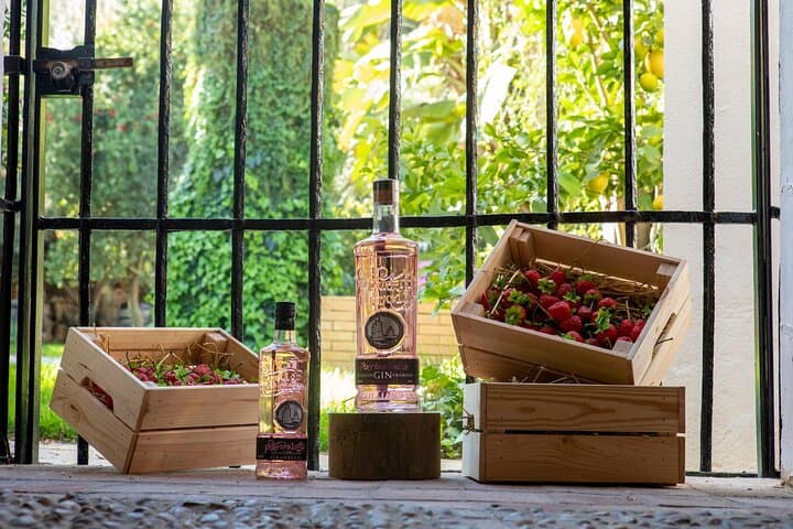 Guided Tour in Spanish with Tasting of 5 GINs and a Gin & Tonic