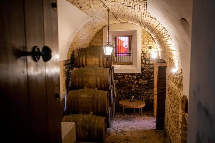Guided Tour in Spanish with Tasting of 5 GINs and a Gin & Tonic