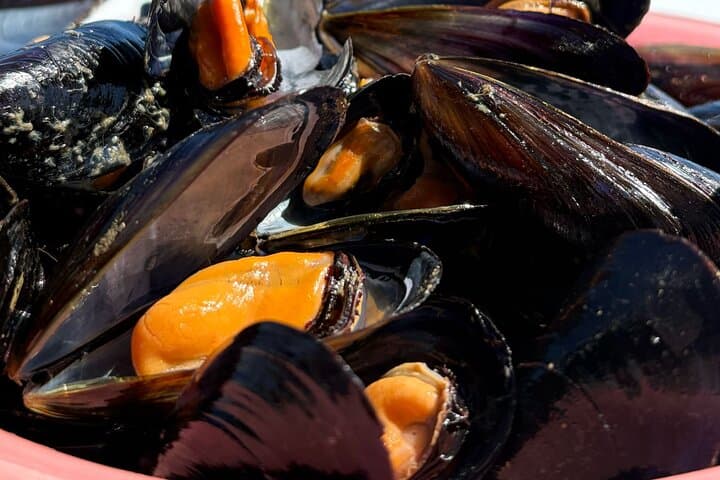 Visit The Nurseries of Clóchina Valenciana With Tasting