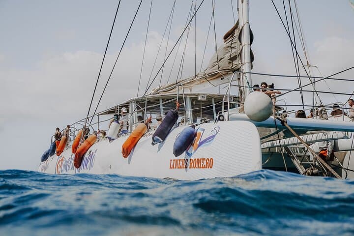 Side profile of the catamaran at sea