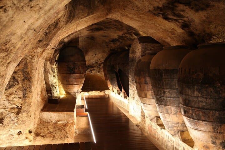 Valencia: Utiel-Requena Cave & Winery Day Trip with Tasting