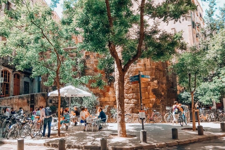 Introduction to Barcelona's Old Town Gothic Quarter Walking Tour