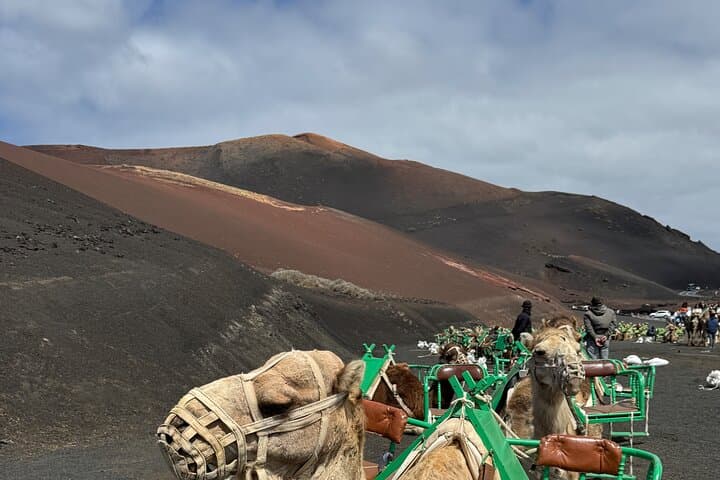 Crew Members Tours of Lanzarote island