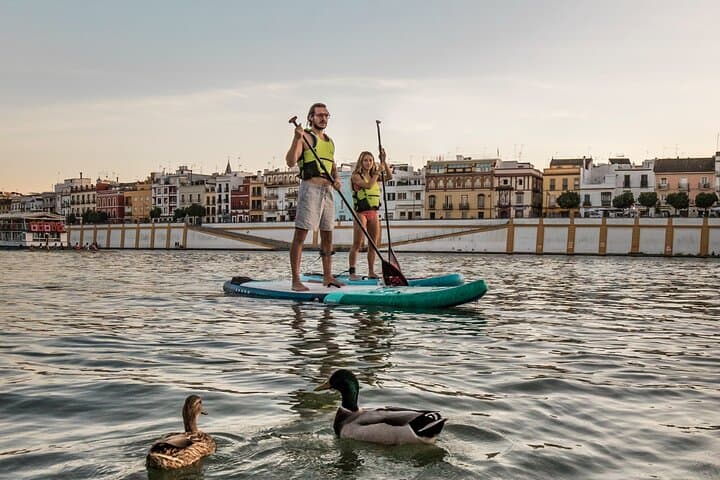 Rent Board Paddle Surf Sevilla 2 Hours
