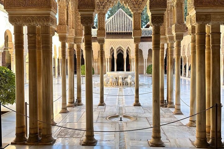 Alhambra with Nazaries Palaces with Private Guide in History Art