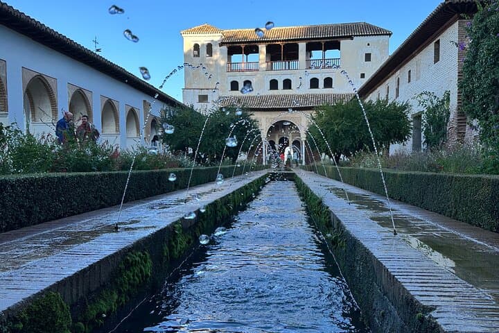 Alhambra with Nazaries Palaces with Private Guide in History Art