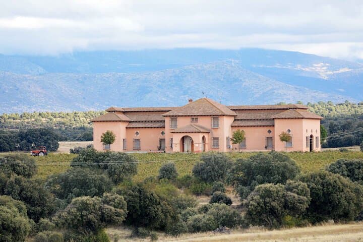 3Days Exclusive Wineries in Chinchon and Segovia and Peñafiel