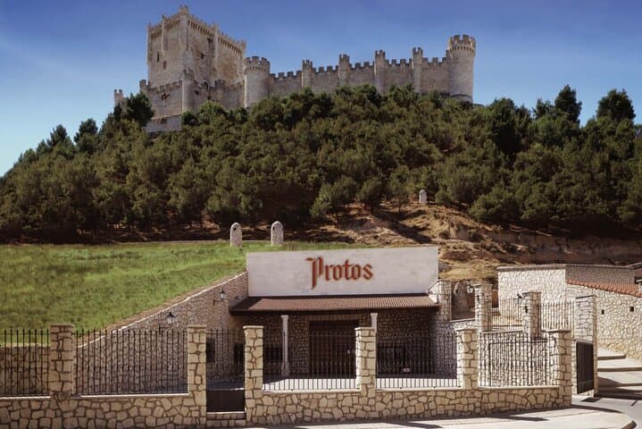 3Days Exclusive Wineries in Chinchon and Segovia and Peñafiel