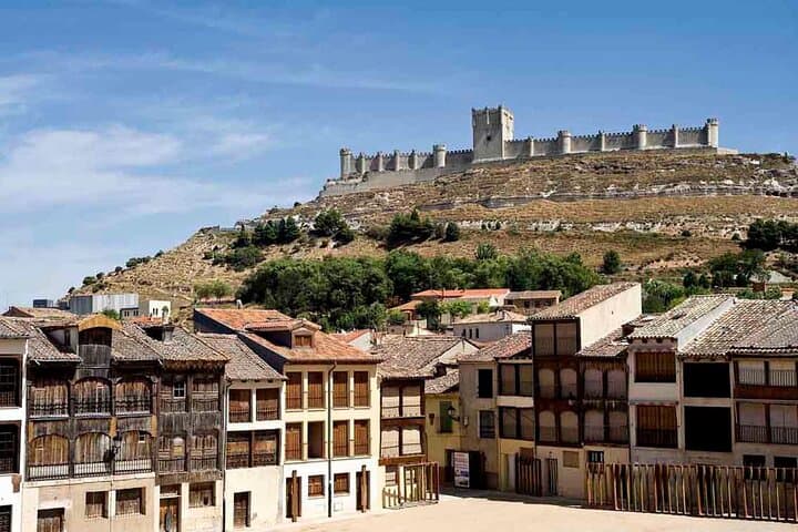 3Days Exclusive Wineries in Chinchon and Segovia and Peñafiel