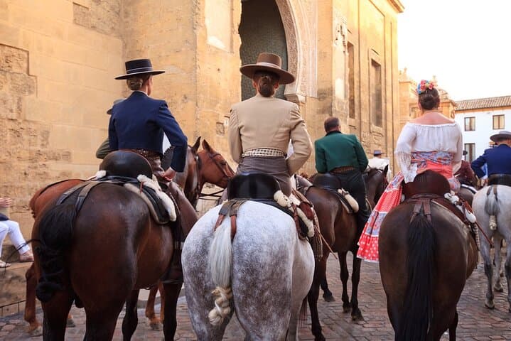 Cordoba private full daytrip from Marbella