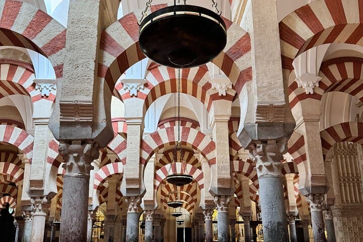 Cordoba private full daytrip from Marbella
