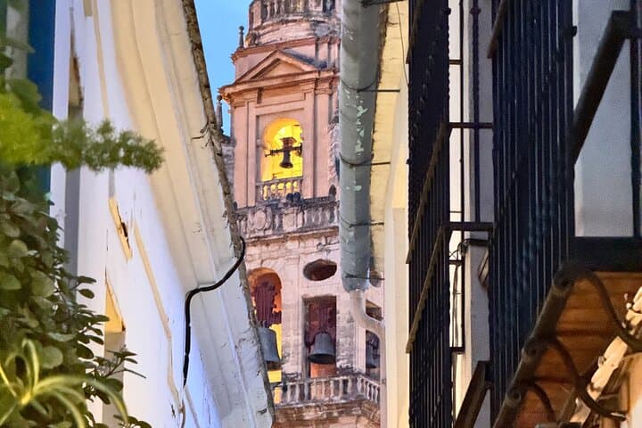 Cordoba private full daytrip from Marbella