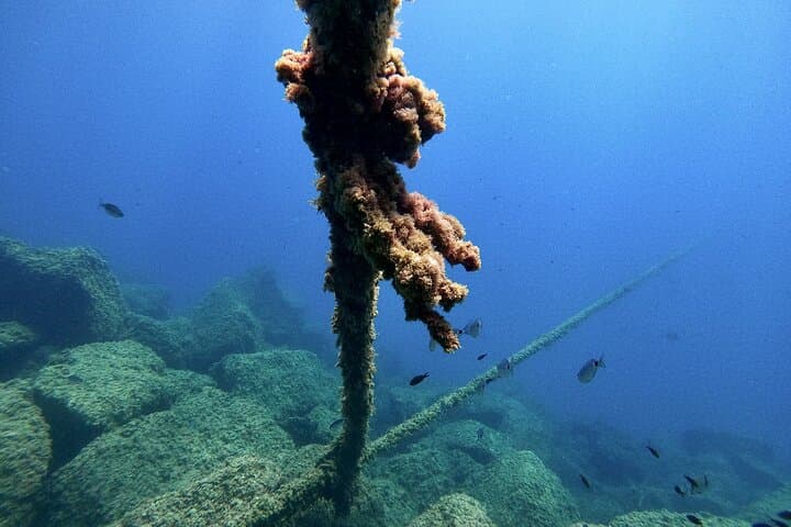 Discover Scuba Diving + Photos in Cambrils
