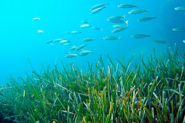 Discover Scuba Diving + Photos in Cambrils