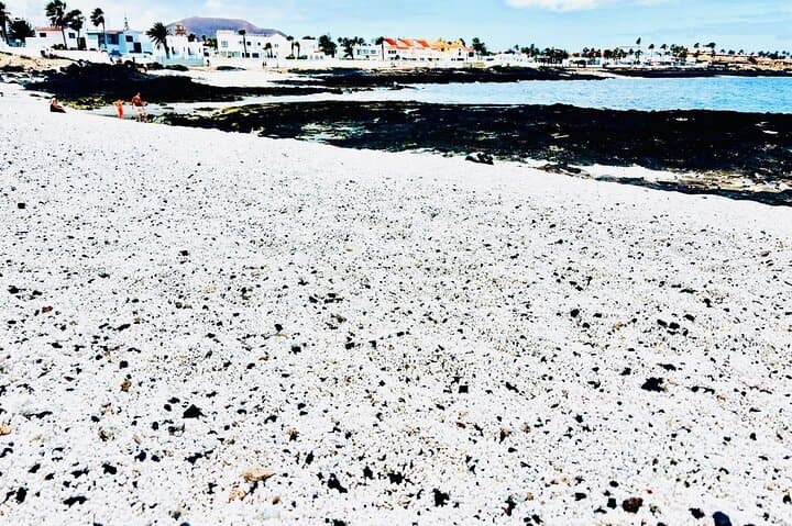 Small group, guided tour: Lobos Island, Popcorn Beach, and Dunes