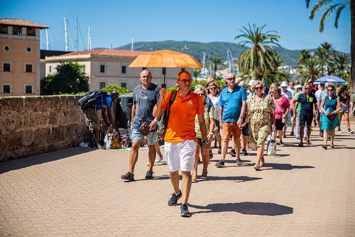 Palma Premium Tour from North Area with guided walk and Cathedral