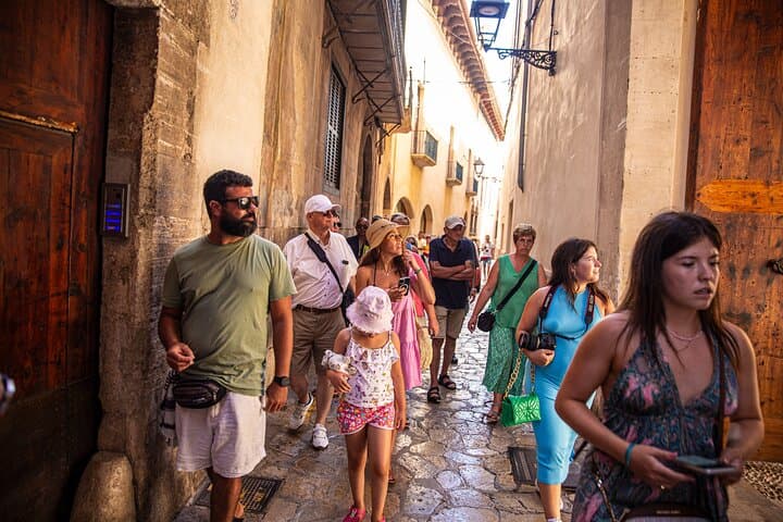 Palma Premium Tour from North Area with guided walk and Cathedral