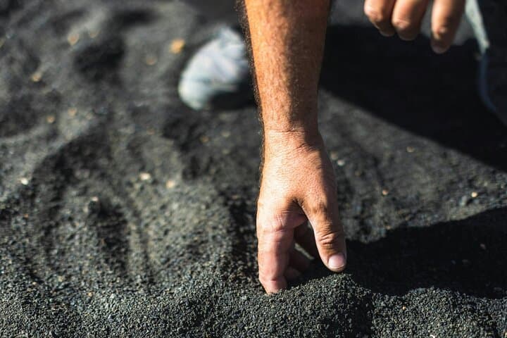 Half Day Timanfaya Volcanic Tour in Lanzarote