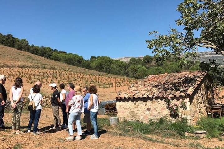 Private Siurana village & tasting wines cellar with hotel Pickup