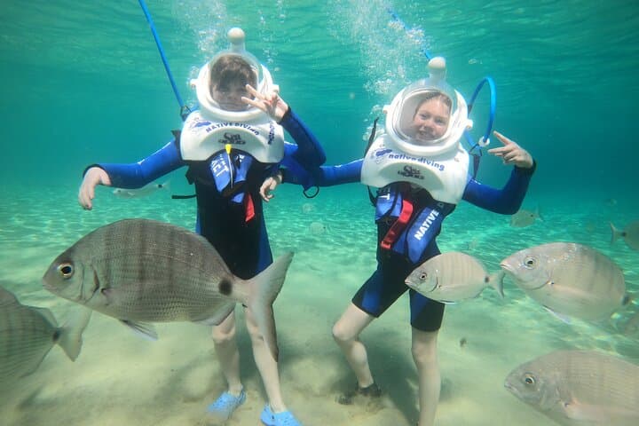 Perfect for families: children and adults enjoying Sea Trek together.