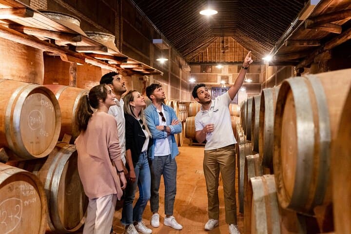 Toledo Tour & Vineyard Experience with Wine Tasting from Madrid