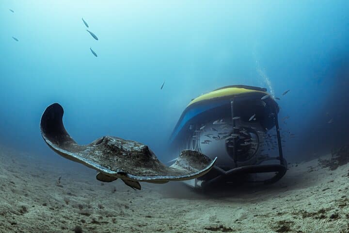 Submarine Tour with Hotel Pickup Tenerife South