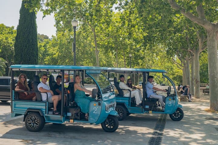 Barcelona Highlights 2-Hour Private Electric Tuk-Tuk Tour