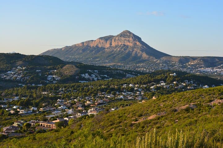 Elche Private Half-Day Tour from Alicante