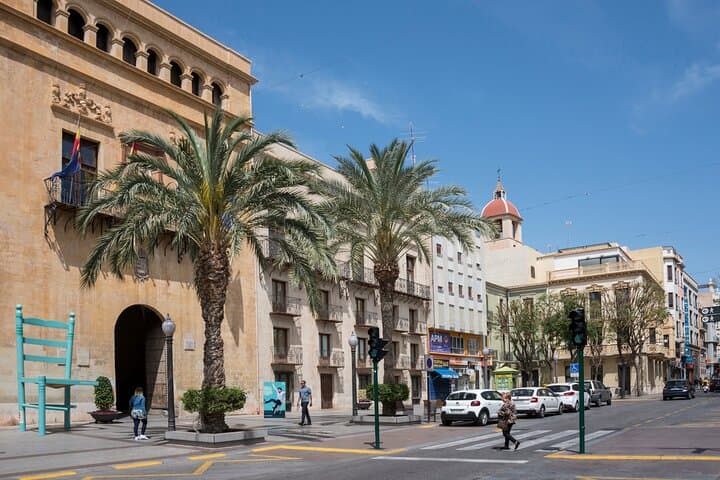 Elche Private Half-Day Tour from Alicante