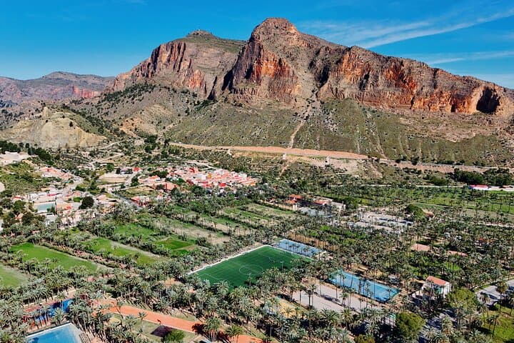 Elche Private Half-Day Tour from Alicante