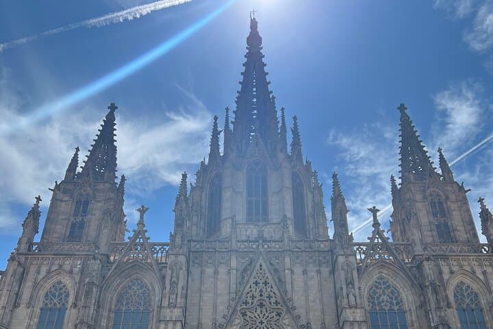 Barcelona: Guided City Tour by Local Transport - Metro, Bus, Tram