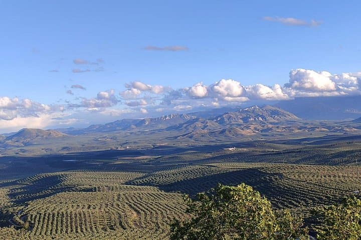 Views from the Alcázar viewpoint