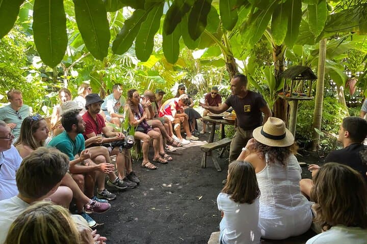 Eco Friendly Banana Cultivation Tour in La Palma