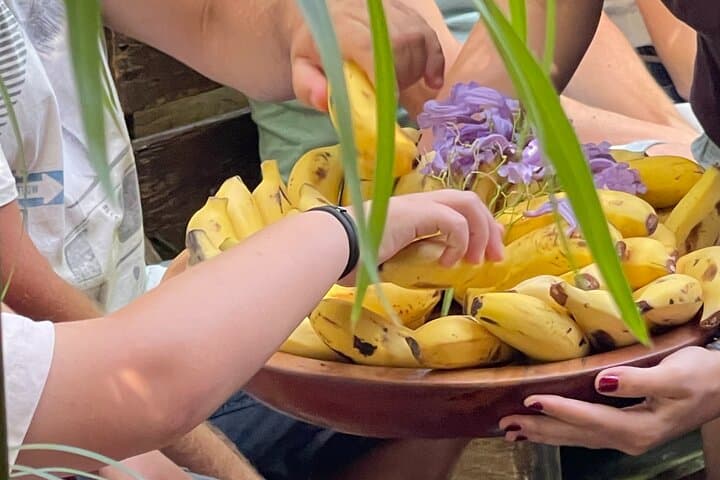 Eco Friendly Banana Cultivation Tour in La Palma