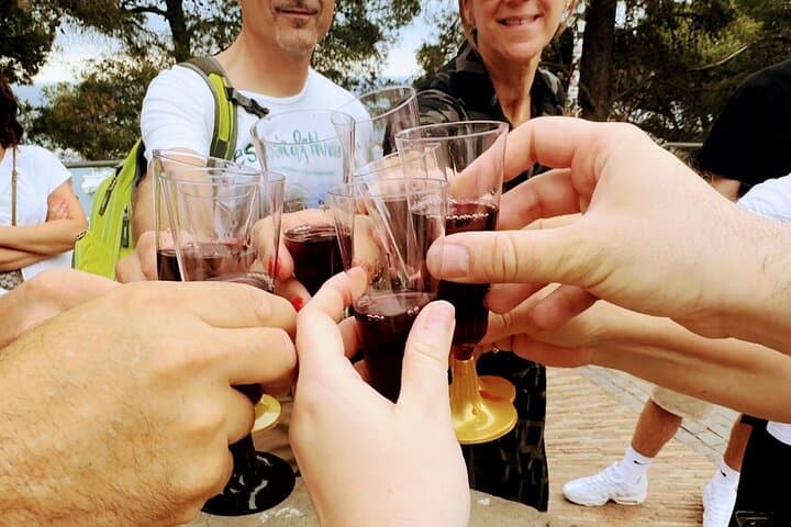 Barcelona: Magic Montjuïc Tour, Wine Tasting & Best photo spots!