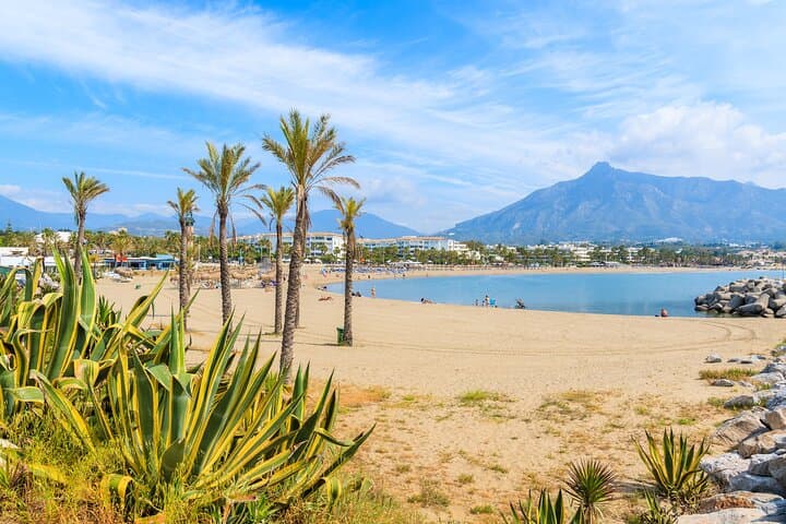 Marbella & Puerto Banús: Private coastal Tour from Málaga
