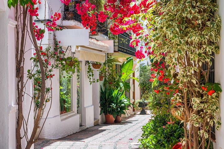 Private Tour Marbella Historic Centre