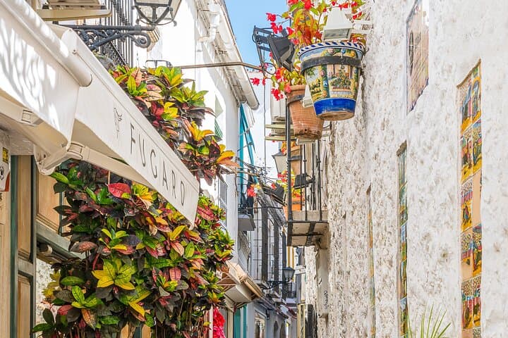 Private Tour Marbella Historic Centre