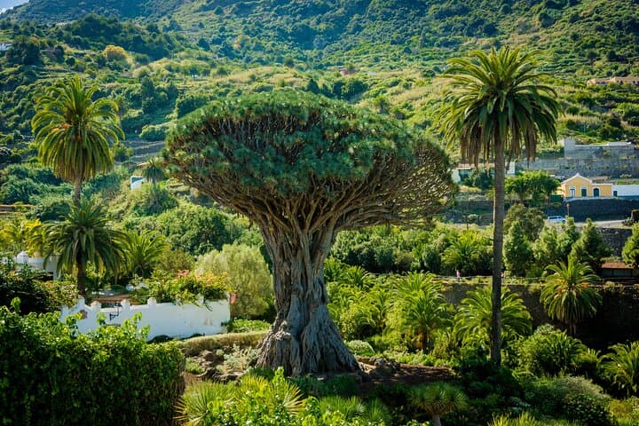Tenerife Mountain Villages & Scenic Wonders