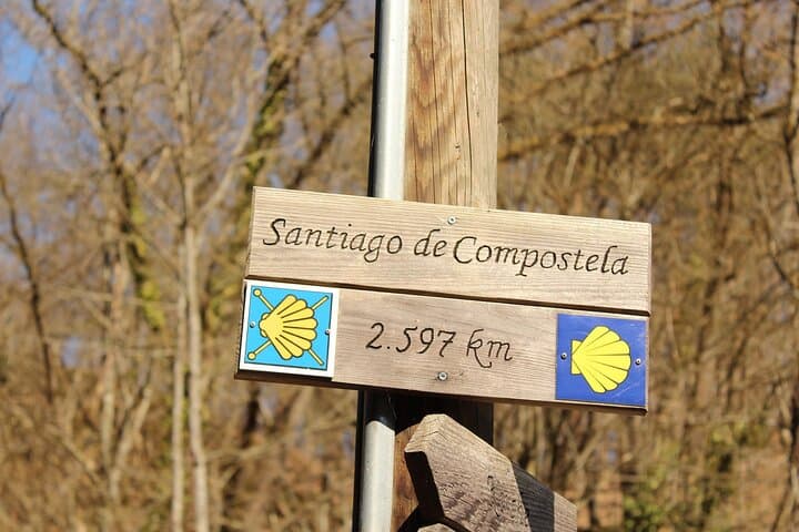 Vigo Santiago de Compostela Shore Excursion with Guide