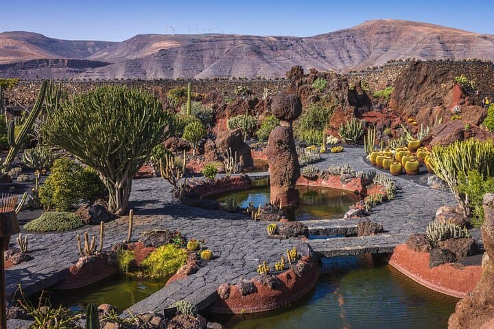 Lanzarote Private Tour: Discover César Manrique’s Masterpieces