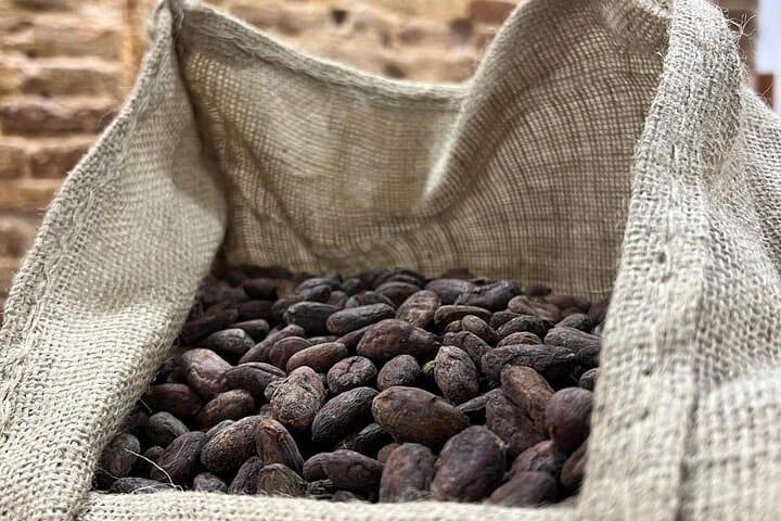 Chocolate Workshop Bean to Bar in Barcelona