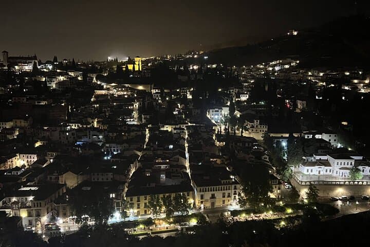 Night Tour of Alhambra and Nasrid Palaces + tickets