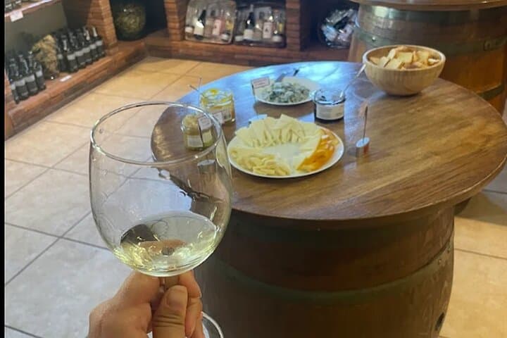 Cantabria: Wine tour and tasting with a lot of Flavour