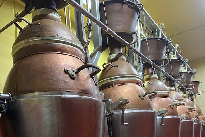 Cantabria: Wine tour and tasting with a lot of Flavour